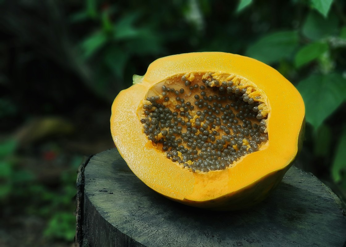 Salsas colombianas con semillas de papaya